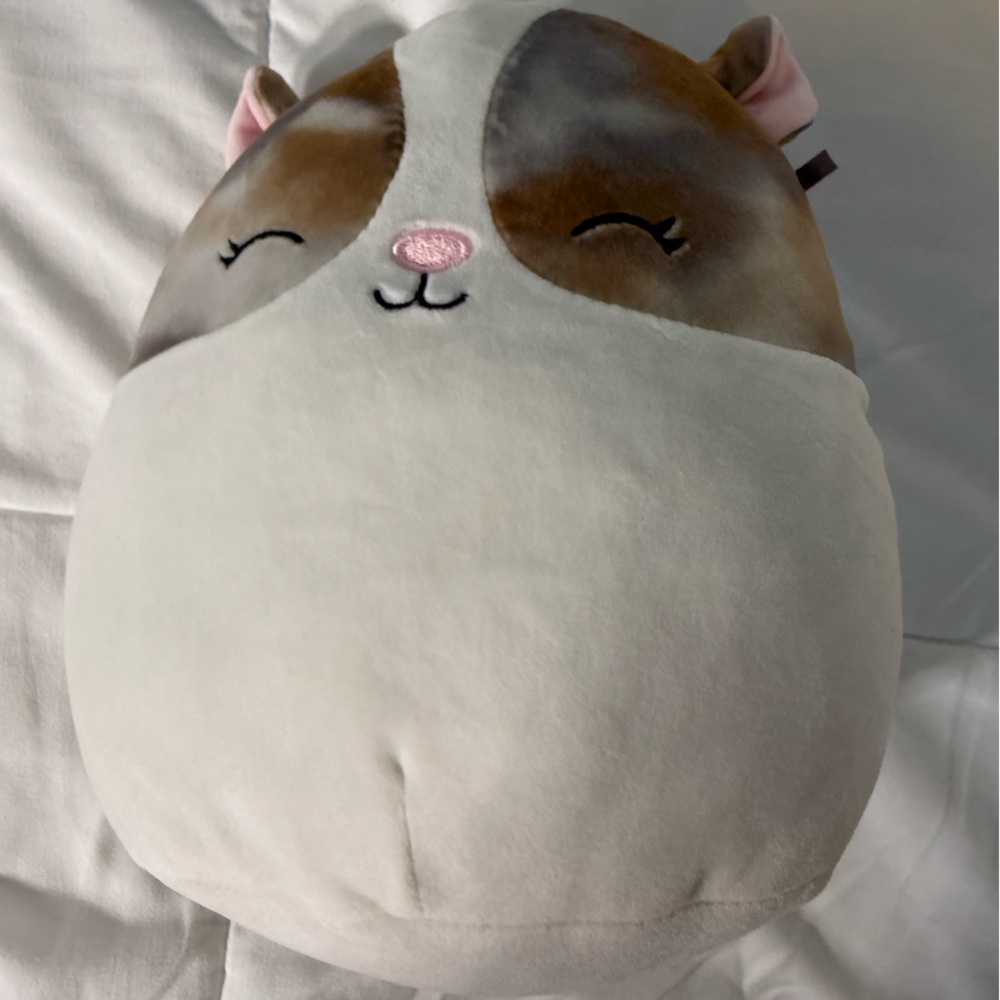 Squishmallow Cat Medium size